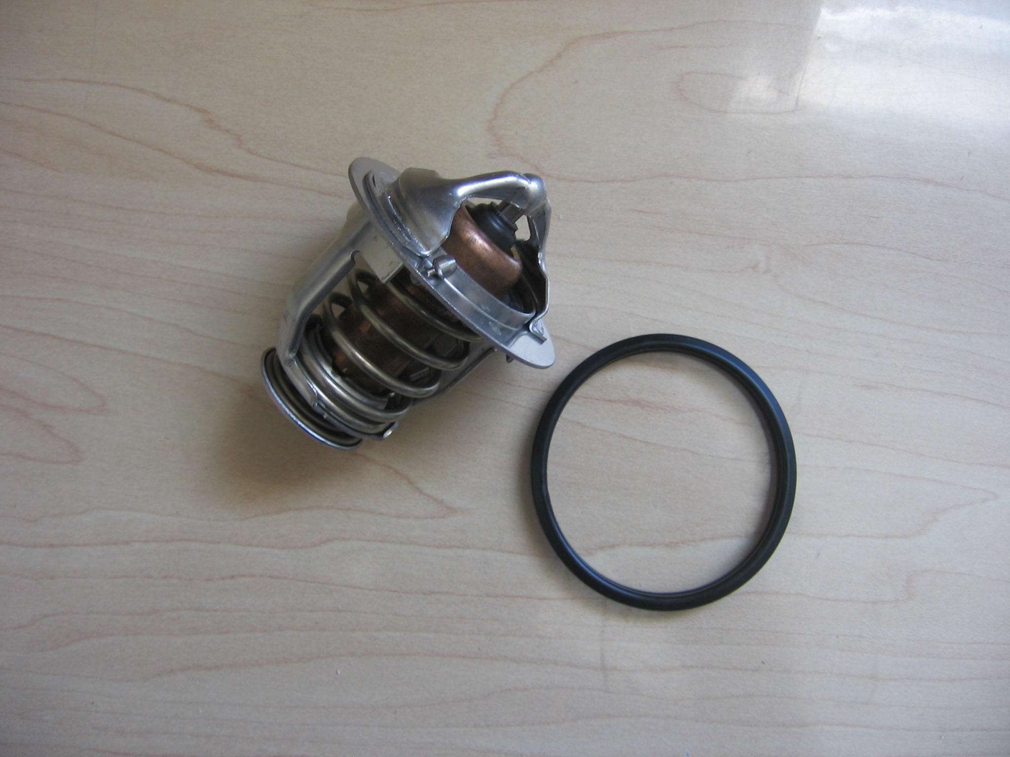 Thermostat and Gasket 20V